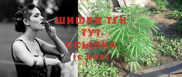 PSILOCYBIN Арсеньев